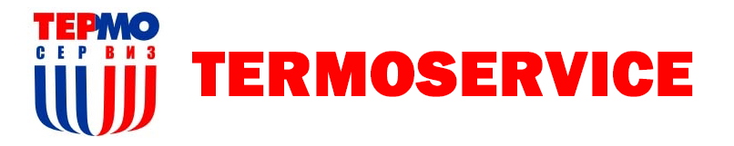 Termoservice logo